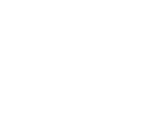 Partidos en Vivo